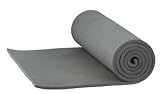 ALPS Mountaineering Foam Camping Mat (Regular 750)