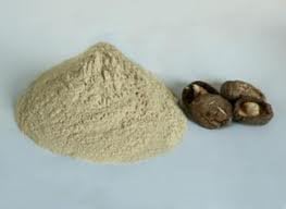 Shitake mushroom powder (Lentinus edodes) China 1 pound