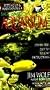Salt Water Aquarium:Setting Up [VHS]