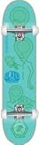 ALIEN WORKSHOP Skateboard Complete BERRA 5 MIND berrics