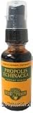 Throat Spray, Propolis Echinacea, 1 oz.