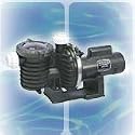1 HP Sta Rite Max E Pro Inground Swimming Pool Pump 115/230 volts # P6EAE205L
