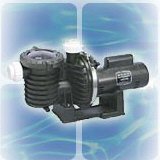 1 HP Sta Rite Max E Pro Inground Swimming Pool Pump 115/230 volts # P6EAE205L
