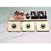 Electronic Science Quiz Review Device