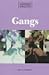 Book Opposing Viewpoints Digests - Gangs (paperback edition) (Opposing Viewpoints Digests)