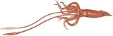 Safari LTD Monterey Bay Giant Squid