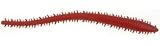 Berkley Gulp! Alive 4 Fat Sandworm - Bloody Pint New