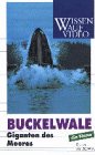 Eigenschaften Komplett Video  / Buckelwale - Giganten des Meeres