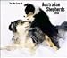 Australian Shepherds 2010 Deluxe Wall Calendar