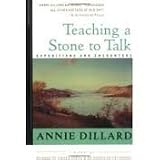 Teaching a Stone to Talk