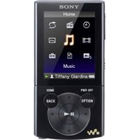 Sony Walkman NWZE345BLK 16 GB Video MP3 Player (Black)