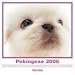 The Dog Pekingese (Artlist Collection)