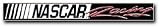 ASCAR RACING W/S SUNSCRN 4X60