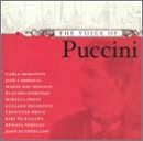 Search : Voice of Puccini