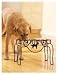   - Old English Sheepdog Dining Station
