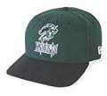Minor League Baseball Cap - Charlotte Knights Alt 1 Cap by New Era
