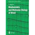 Biochemistry and Molecular Biology of Wood (Springer Series in Wood Science) by  Takayoshi Higuchi