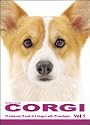 THE DOG Notecard Vol. 1 - Welsh Corgi