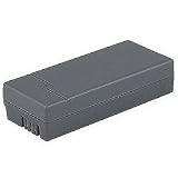 Sony Replacement DSC-FX77 digital camera battery