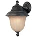 14-1/2-Inch Outdoor Wall Light