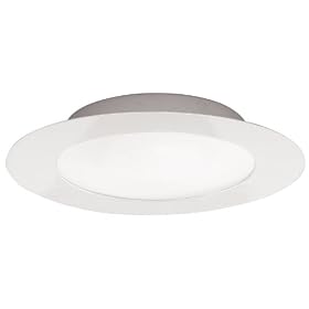 Eglo  87213A Palmera, White/Frosted Opal, 2-Light Ceiling Light Fixture