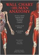 Wall Chart Of Human Anatomy - 3d Dull-body Images And Detailed System Charts
