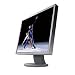 Eizo S1910 19 Zoll TFT Monitor grau DVI Pivot (Kontrast 1000:1, 12ms Reaktionszeit)
