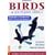 Sasol Birds of Southern Africa