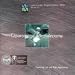 Laparoscopic Adrenalectomy: Laparoscopic Surgical Series