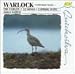 Warlock: The Curlew
