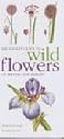 Mitchell Beazley Pocket Guide to Wild Flowers