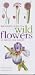 Mitchell Beazley Pocket Guide to Wild Flowers