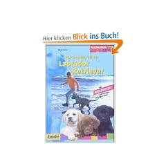 Labrador Retriever, Wir wollen einen: Mit Welpentest und weiteren wichtigen Tipps!