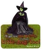 Wit and Wisdom Magnets Wicked Witch