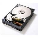 Hitachi Ultrastar A7K1000 - Hard drive - 1 TB - internal - 3.5" - SATA-300 - 7200 rpm - buffer: 32 MB
