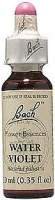 Water Violet - 20 ml - Liquid