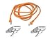 Belkin A3L791-25-ORG-S 25-Feet RJ45 CAT 5E Snagless Molded Patch Cable (Orange)