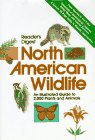 Reader's Digest North American Wildlife under Natural History in The Books Store