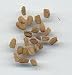 Fenugreek seed packet