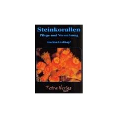 Steinkorallen