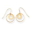 Earrings 14kt Gold Circle Drop