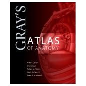 Gray's Atlas of Anatomy by Richard L. Drake, A. Wayne Vogl, Adam W. M. Mitchell, and Richard Tibbitts
