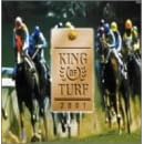 KING OF TURF~�������n�̃t�@���t�@�[�� 2001�N���S��~