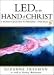 Led by the Hand of Christ: A Woman's Journey to Paradise-And... at Amazon: 211VPDVR6FL._SL75_