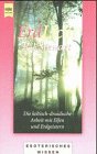 Erd-Licht - Die keltisch-druidische Arbeit mit Elfen und Erdgeistern - R. J. Stewart