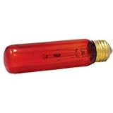 Zoo Med Nightlight Red Reptile Bulb 25 Watt