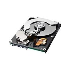 Samsung P120 SATA II 250GB Festplatte 8,9 cm (3,5 Zoll) Intern Serial ATA (7200rpm, 8MB Cache, Bulk)
