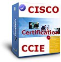 cover of CCIE Cisco Certified Internet Expert Solution Guide (Our Solution Guide and material is better than Ten (10) Mock tests in exam