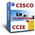 CCIE Cisco Certified Internet Expert Solution Guide (Our Solution Guide and material is better than Ten (10) Mock tests in exam simulators, With our Guide you will be prepared for your upcoming certification Exam, and will pass on your First attempt., Our Solution Guide and material are top quality and will assist you in gaining the Certification you deserve)