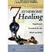 7-Syndrome Healing: Supplement Essentials for the Mind and Body (More than 100 natural remedies for today's common conditions) (Paperback)